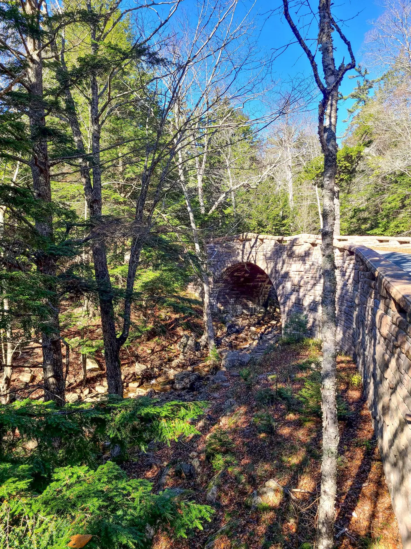 post-Ultimate Guide to Carriage Roads Biking Tips in Acadia National Park